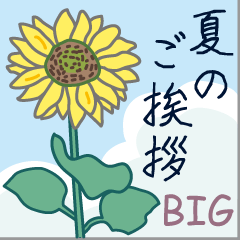 [LINEスタンプ] 夏のご挨拶【BIG】の画像（メイン）
