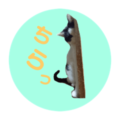 [LINEスタンプ] ねこといぬとうさぎ