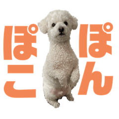 [LINEスタンプ] むく＆ぐり