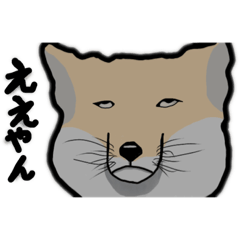 [LINEスタンプ] チベットスナギツネ1
