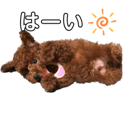 [LINEスタンプ] エリー犬