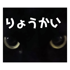 [LINEスタンプ] 黒猫ちゃん☆