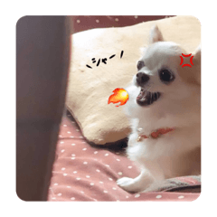 [LINEスタンプ] mi-na0319