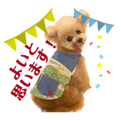 [LINEスタンプ] GemmaKikiPippi Lovely stamps 2021 vol.3