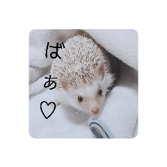 [LINEスタンプ] ウチの子はりーつぁん1