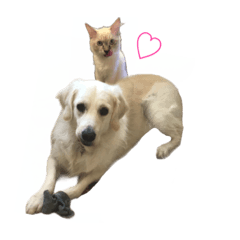 [LINEスタンプ] アラン＆ぽーちゃん