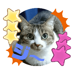 [LINEスタンプ] ナナエモン①+