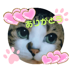 [LINEスタンプ] ドラエモン＆サンド①α