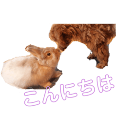 [LINEスタンプ] ココアちゃん達1