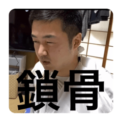 [LINEスタンプ] ぐっしースタンプ第一弾 〜鎖骨〜