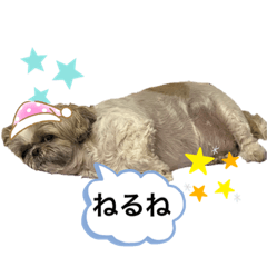 [LINEスタンプ] ちーすたんぷ★しーずー3