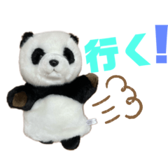 [LINEスタンプ] [日常会話]パンダの可愛い立体スタンプ