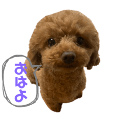 [LINEスタンプ] えるちースタンプ