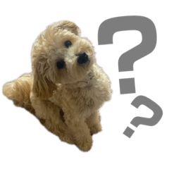 [LINEスタンプ] セサミのスタンプ（ちょんむくもいるよ）