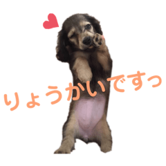[LINEスタンプ] みりんちゃんと佐藤くん