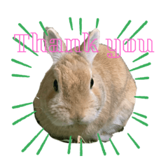[LINEスタンプ] 私の友だちたまおちゃん