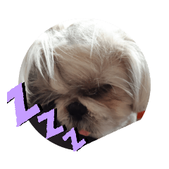 [LINEスタンプ] ライのごあいさつ