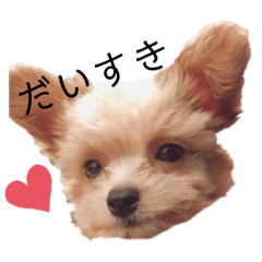 [LINEスタンプ] かるぴスタンプ②