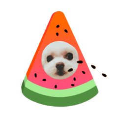[LINEスタンプ] maru！