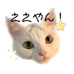 [LINEスタンプ] 関西弁 困っていない猫のすず。