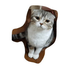 [LINEスタンプ] ランラン蘭丸