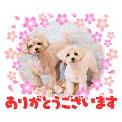 [LINEスタンプ] アイスキューブ今日の天気と気分