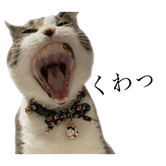 [LINEスタンプ] わらにすた