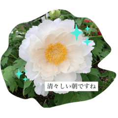[LINEスタンプ] じょんのガーデン