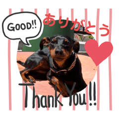[LINEスタンプ] ハンドリーの日常②