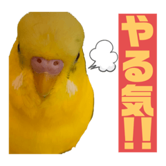 [LINEスタンプ] たまとなかまたち3