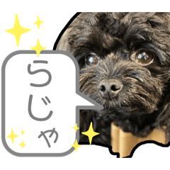 [LINEスタンプ] こるね と たると のスタンプ