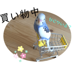 [LINEスタンプ] まるいインコのすたんぷ