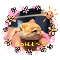 [LINEスタンプ] マロン☆♪