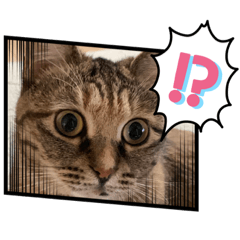 [LINEスタンプ] みるくとむてるこ1