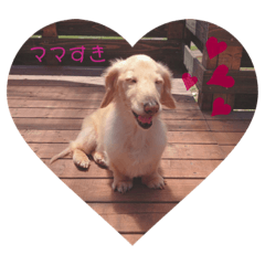 [LINEスタンプ] れんくん"