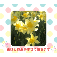 [LINEスタンプ] ご挨拶にお花を添えるスタンプ*.＊