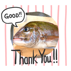 [LINEスタンプ] 魚三昧ver5