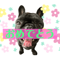 [LINEスタンプ] フレンチブルドッグのバイエス4