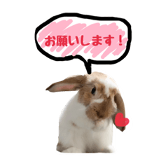 [LINEスタンプ] たれみみウサの日常。