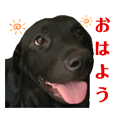 [LINEスタンプ] 黒ラブラドールLelibe,vol2