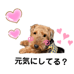[LINEスタンプ] ウェルシュテリア ♡ジェリーさんの1日⑧
