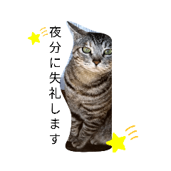 [LINEスタンプ] ガブリンチョ