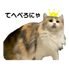 [LINEスタンプ] くるみにゃんこ