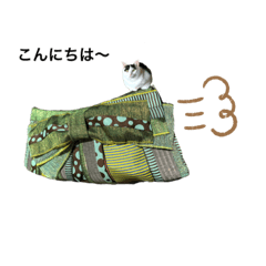 [LINEスタンプ] バックに乗ってくる猫のあいさつスタンプ