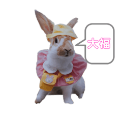 [LINEスタンプ] ミニレッキスのだいふくちゃん