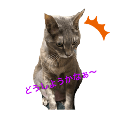 [LINEスタンプ] あいらぶスーちゃん