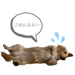 [LINEスタンプ] ありすのにちじょう