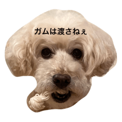 [LINEスタンプ] たからっぴ