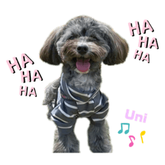 [LINEスタンプ] Uni desu ☺︎