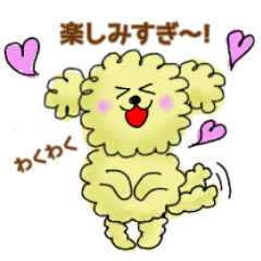 [LINEスタンプ] カラフル綿がしのトイプー